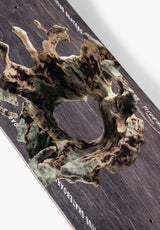 Sinularia grey Oberansicht