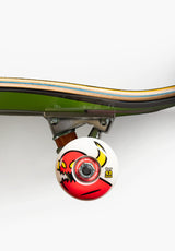 Turtle Sym multicolored Closeup2