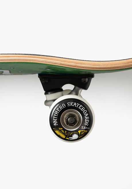 No Regerts green Closeup1