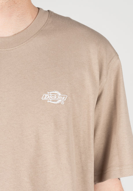 Summerdale sandstone Rueckenansicht