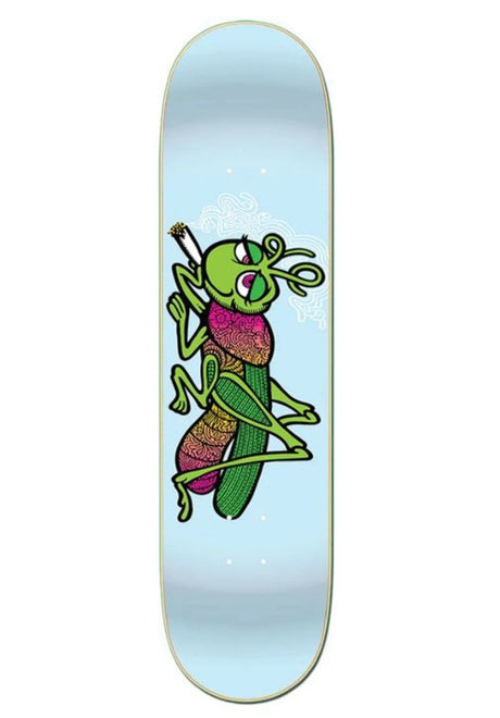 Grassbopper lightblue Vorderansicht