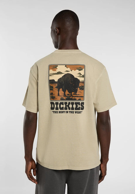 Dickies Darrtown T-Shirt eucalyptus – Vorderansicht