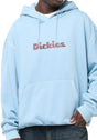 Dickies Slayden GD glacier-lake Vorderansicht