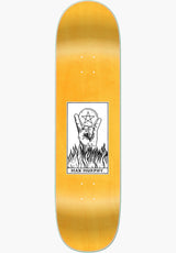 Max Murphy - Tarot multicolored Rueckenansicht