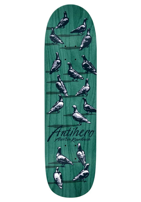 Kanfoush Dawn Of The Pigeon assorted Vorderansicht