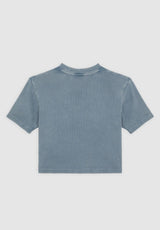 Plentywood W stormyweather Closeup1