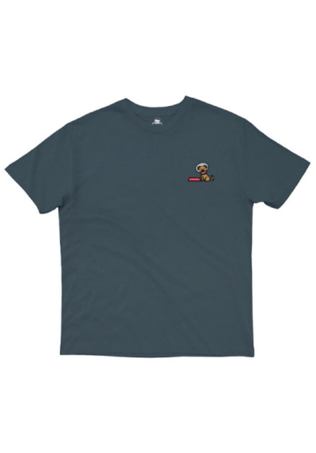 Cone Of Shame steel Vorderansicht