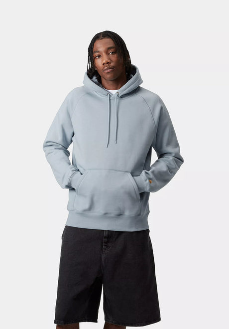 Hooded Chase frostedblue-gold Closeup1