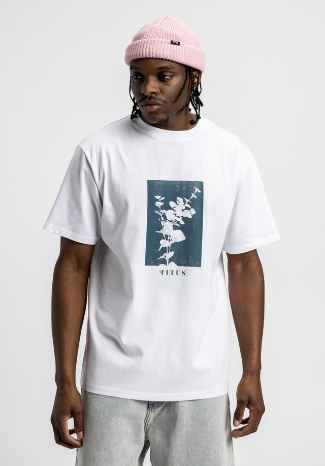 Eloquent white Vorderansicht