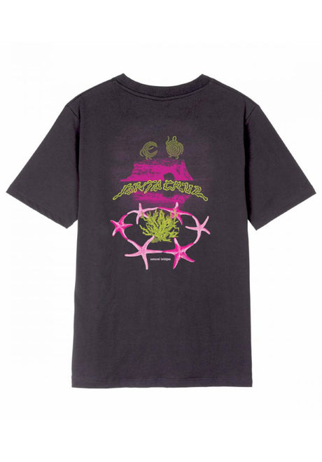 Santa-Cruz Natural Bridges T-Shirt blackwash – Vorderansicht