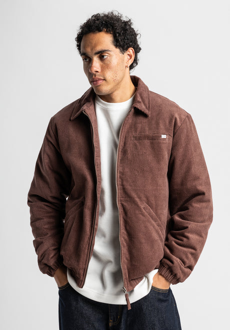 Sanger darkbrown-cord Rueckenansicht