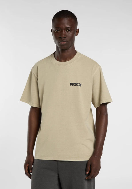 Dickies Darrtown T-Shirt eucalyptus – Rückenansicht