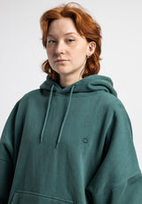 Aine nightpetrolfaded Closeup1