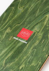 Porifera green Closeup2