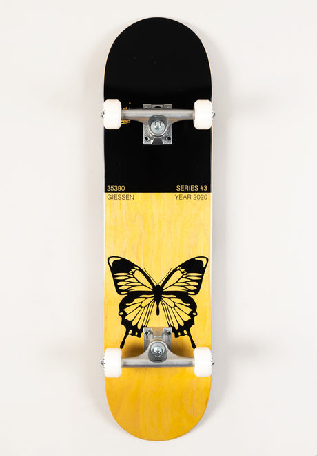 x Begoni Single Butterfly black-orange Vorderansicht