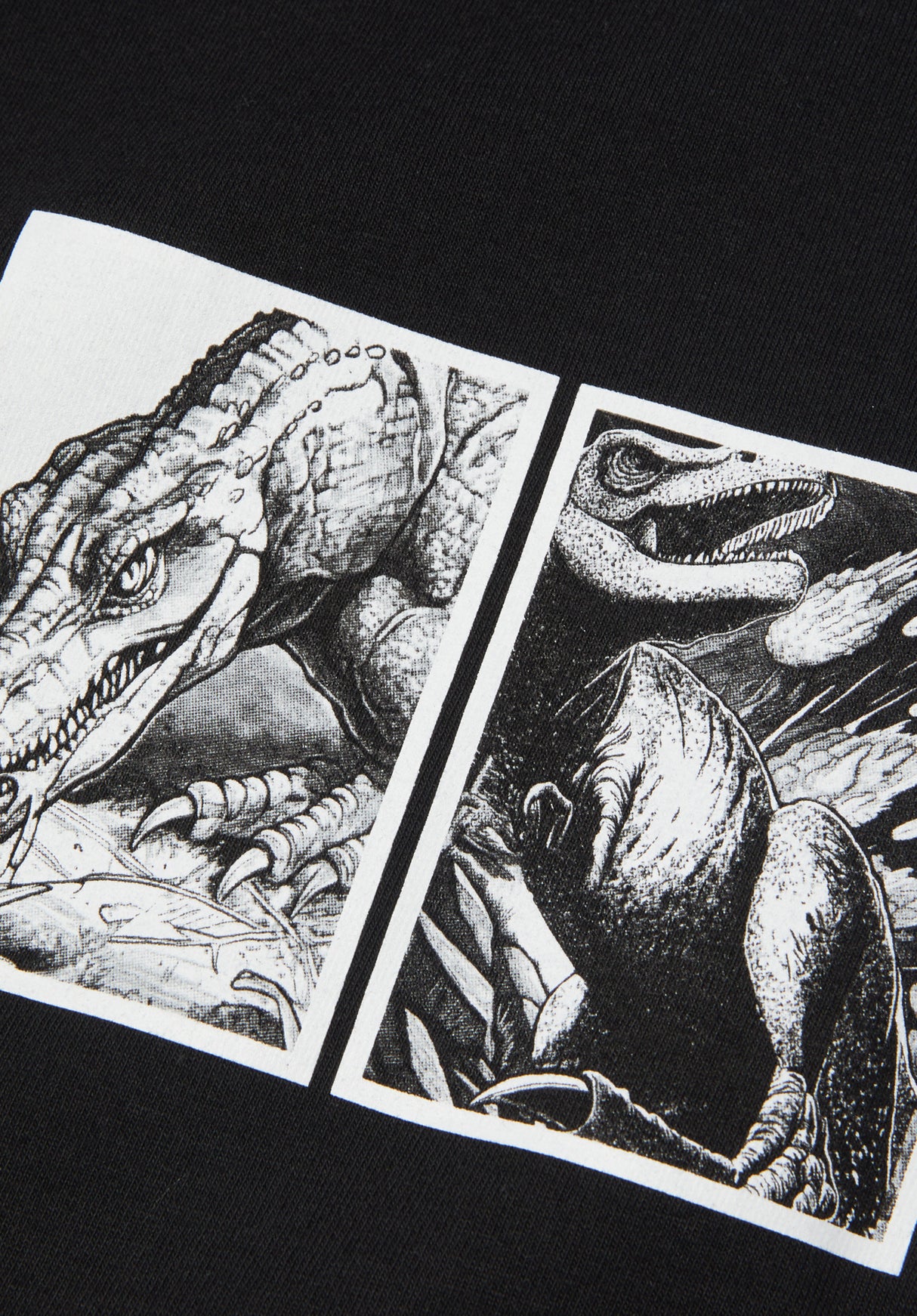 Fossil Fuel black Closeup1