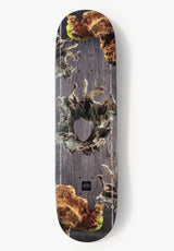 Sinularia grey Vorderansicht