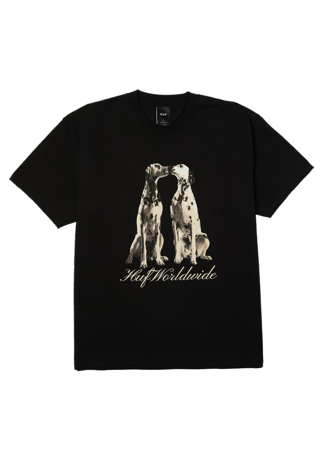 Dogged black Vorderansicht