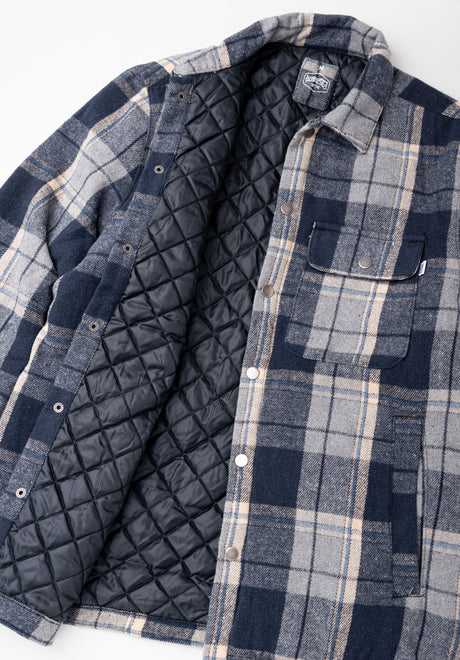 Thage blue-checked Closeup2