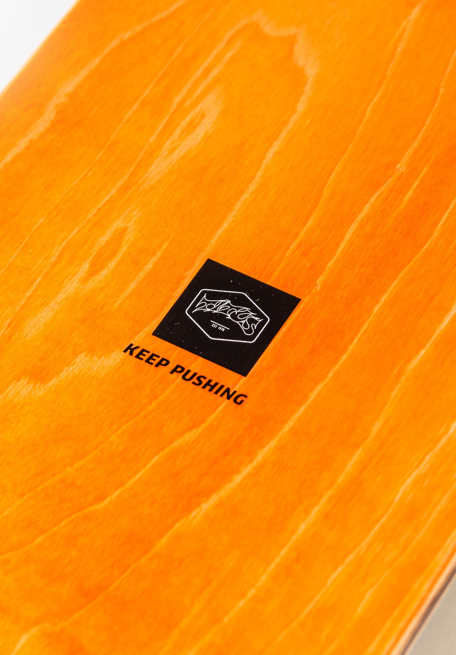 Egg multicolored Closeup2 Zoom Image