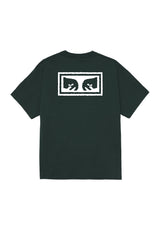 Eyes 3 rainforest Vorderansicht