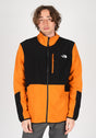 Glacier Pro Full Zip desertrust-tnfblack Vorderansicht