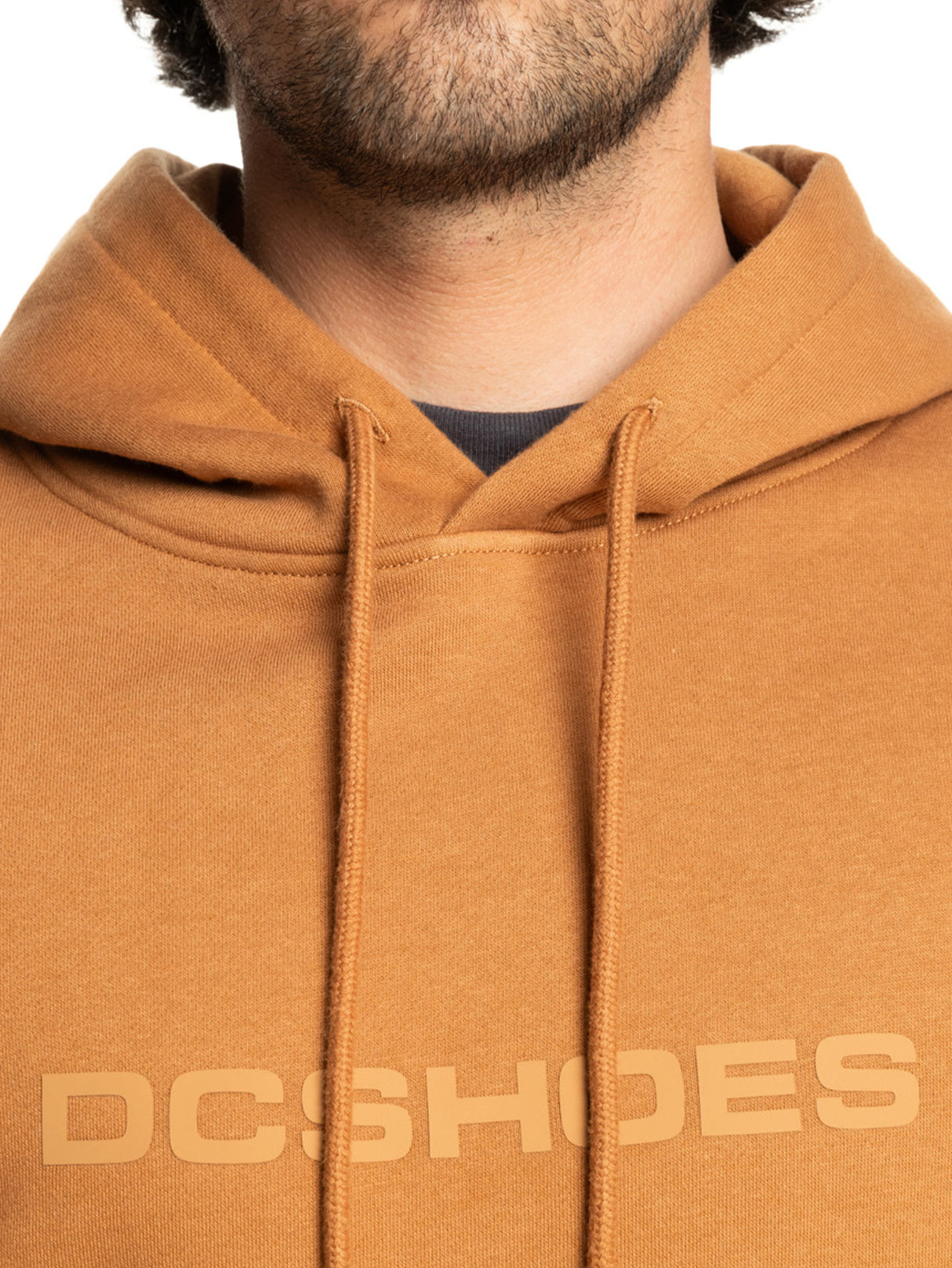 In Between Ph chipmunk Closeup1