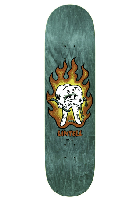 Lintell Mascot assorted Vorderansicht