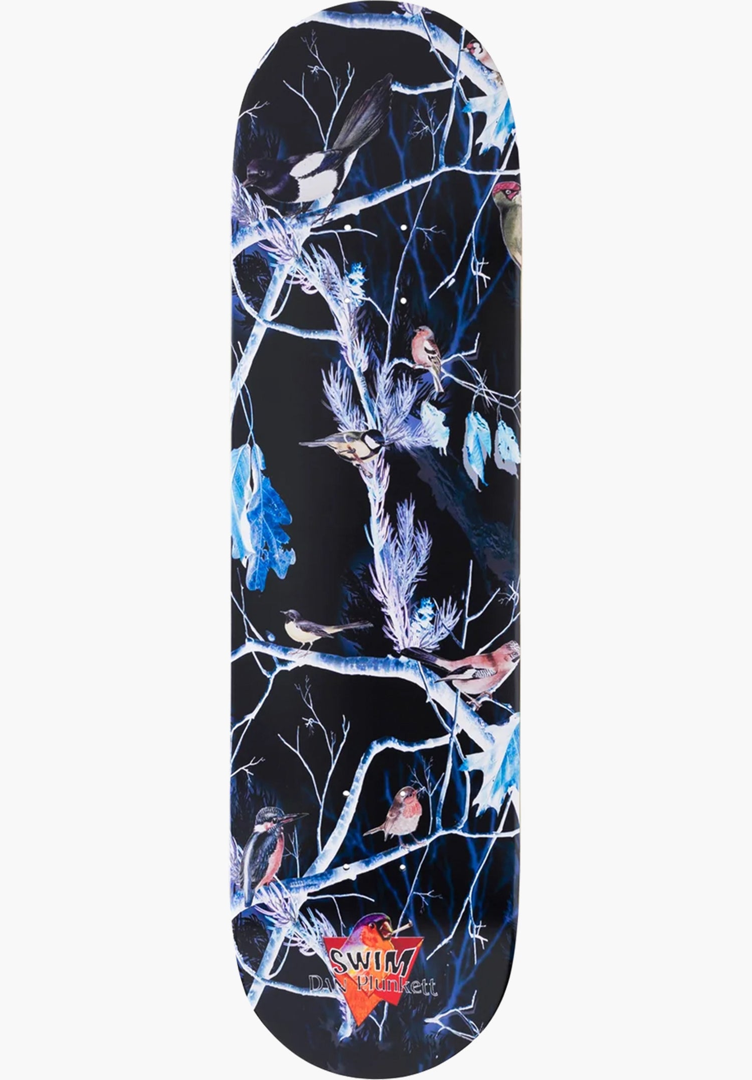 Plunkett Real Birds multicolored Vorderansicht Zoom Image