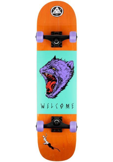 Tasmanian Angel orange stain Vorderansicht