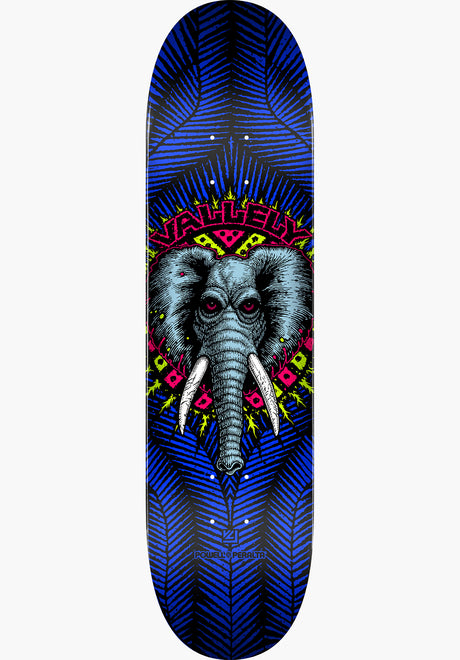 Vallely Elephant Birch royalblue Vorderansicht