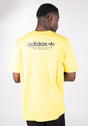 Noah|1,82|L