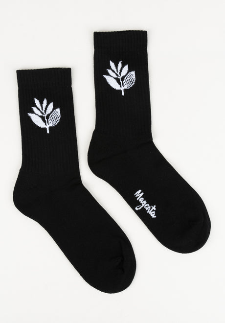 Plant black Vorderansicht