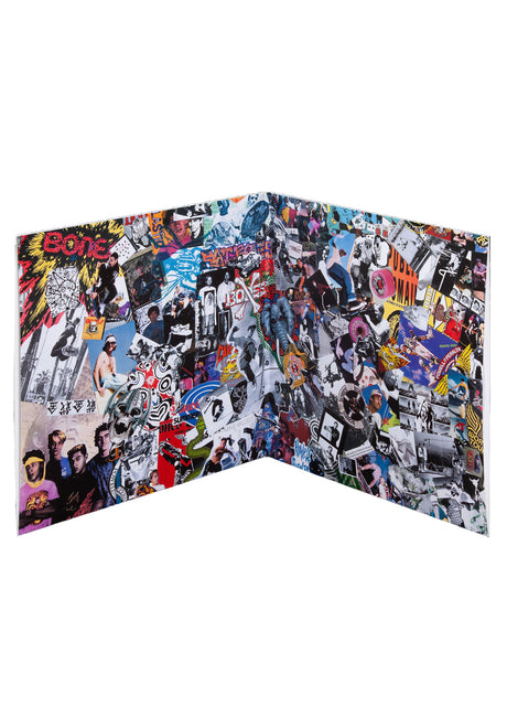 Vinyl LP Bones Brigade Video Tunes multicolored Rueckenansicht