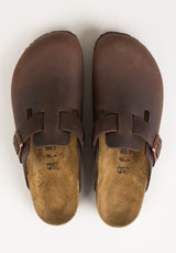 Boston Oiled Leather habana Close-Up2